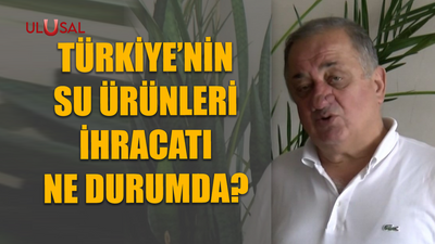 Türkiye'nin su ürünleri ihracatı ne durumda?